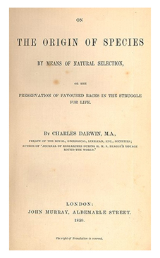 title Page