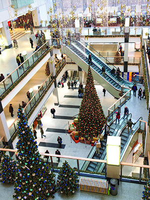 Christmas Shopping by DeMaris Gaunt