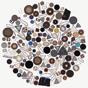 Miscoscopic diatoms (CC By-SA 3.0, Modified)