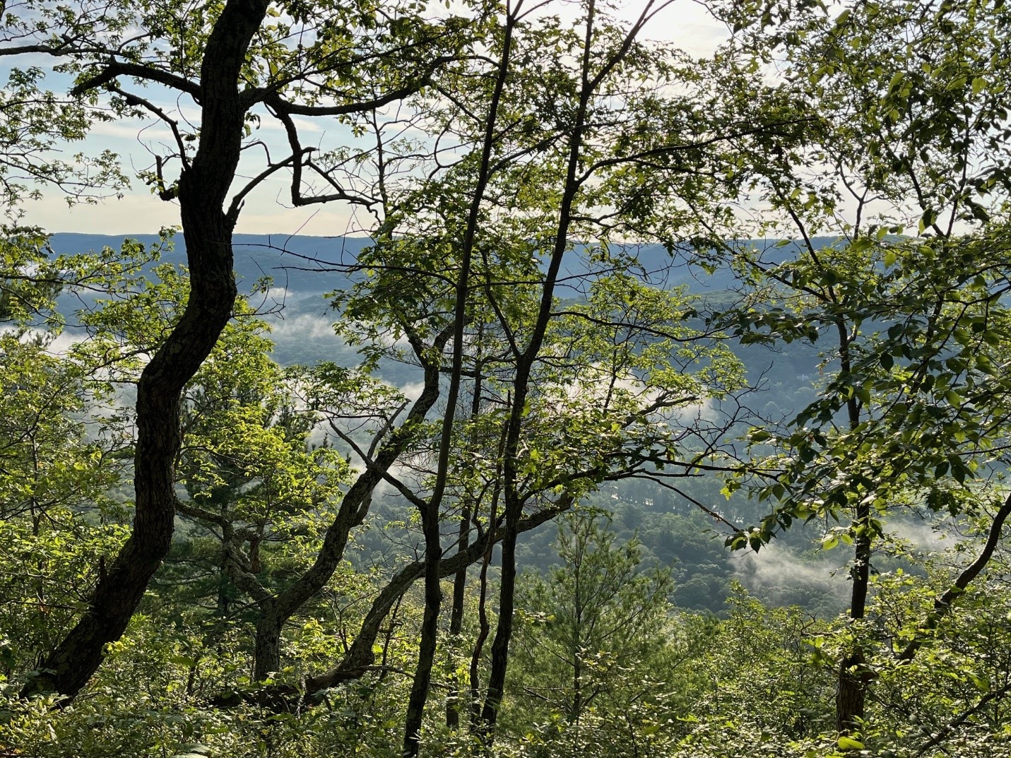 Everything is fine on the Appalachian Trail – or is it?